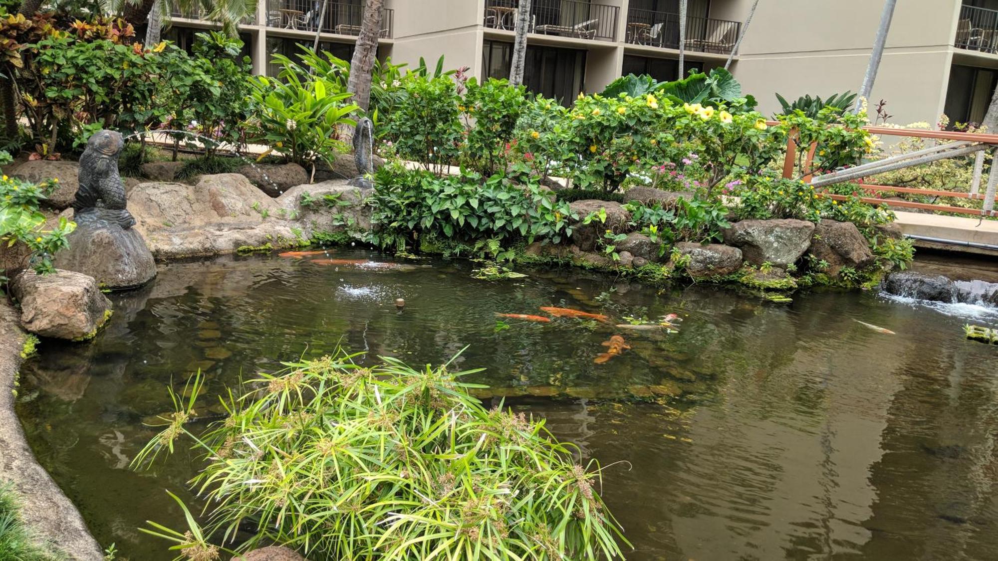 Maui Westside Presents: Kaanapali Shores 733 Stunning Ocean Views New Listing Appartement Lahaina
