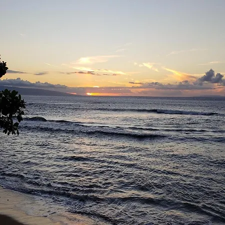 Maui Westside Presents: Kaanapali Shores 733 Stunning Ocean Views New Listing Lahaina Extérieur photo